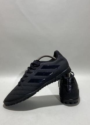 Сороконожки adidas1 фото