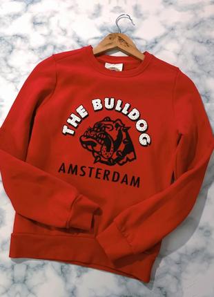 Світшот червоного кольору 3