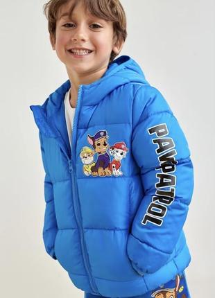 Куртка paw patrol , р.116