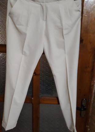 Брюки бордовые madlen 50р.