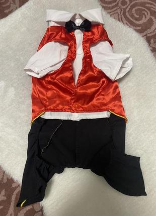 Костюмчик для собачки3 фото