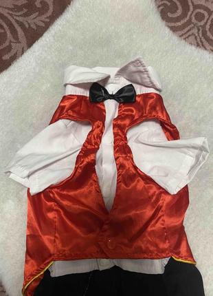 Костюмчик для собачки2 фото