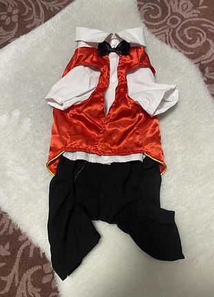 Костюмчик для собачки