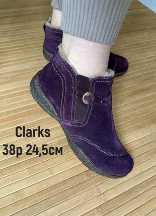 Замшевые ботинки clarks1 фото