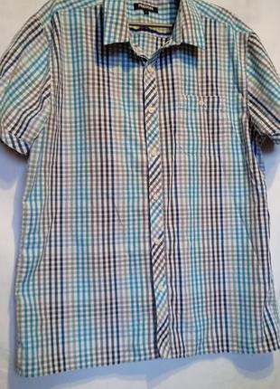 Сорочка peacocks