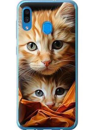 Чехол на samsung galaxy a30 2019 a305f котики 2 из пластика fch_0008258