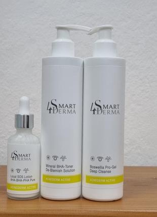 Smart 4 derma acnederm active набор для жирной и проблемной кожи (тоник+гель+ подсушующий лосьон)1 фото
