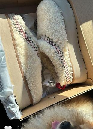 Ugg tazz braid уггі