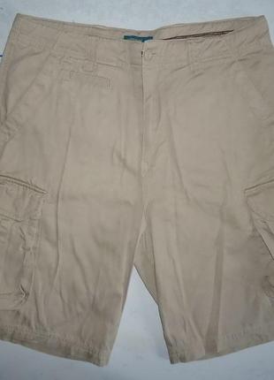 Шорти чоловічі cedarwood state (34)