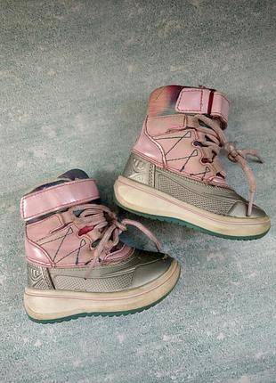 Чоботи, чобітки. lupilu. розмір - 20. довжина устілки - 13 див.