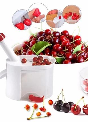 Машинка для видалення кісточок кухонна cherry pitter вишні/ черешні/маслин та оливок відокремлювач кісточок2 фото