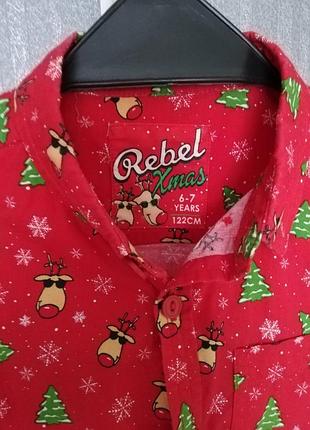 Яскрава теніска на 5,6,7 років 3