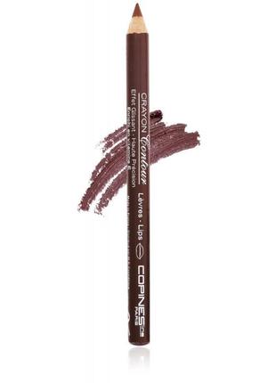 Олівець для губ copines line paris lip pencil 05- noisette1 фото