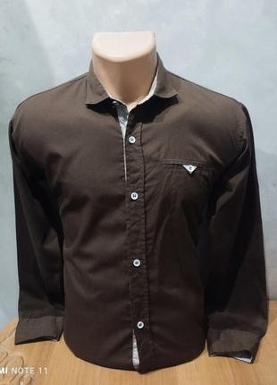 Брендовая стильная рубашка люксового американского бренда polo ralph lauren
