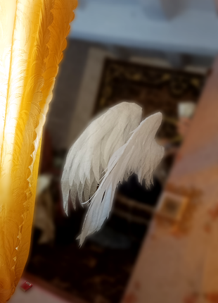 Красивые крилья ангела