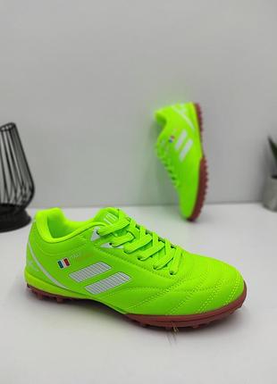 Сороконіжки