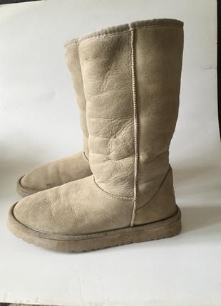 Ugg угги оригинал