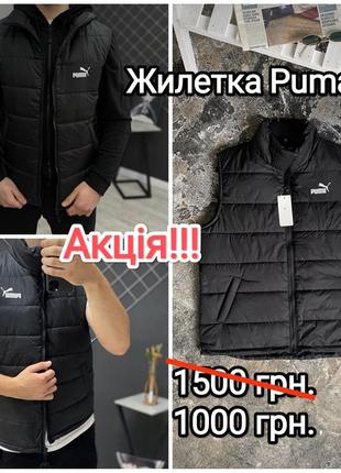 Puma жилетка чоловіча акційна найнижча ціна