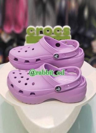 Крокс классик клог сиреневые орхидея crocs women's classic platform clog orchid