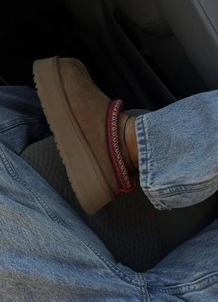 Уггі угги уги угі ugg tazz tasman chestnut