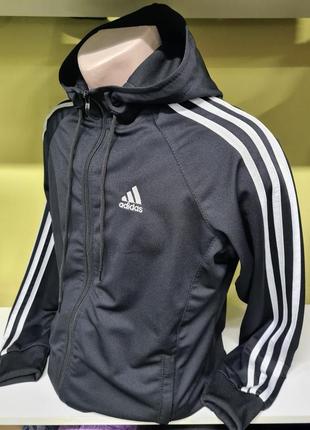 Спортивний костюм adidas чоловічий тканина лакоста, чоловічий костюм кофта на блискавці та штани, спортивний костюм лакоста весна літо4 фото