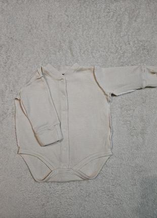 Боди little angel