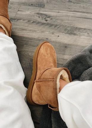 Уггі угги уги угі Bluzy ugg classic mini || chestnut