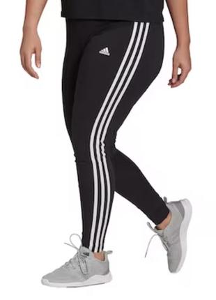 Легінси adidas1 фото