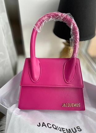 Сумка jacquemus 9