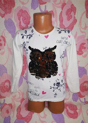 Реглан совушка