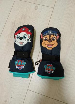 Теплі рукавиці краги paw patrol thinsulate