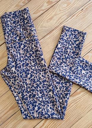 Женские функциональные леггинсы next, размер евро 34 ( 6 ), цвет коричневый