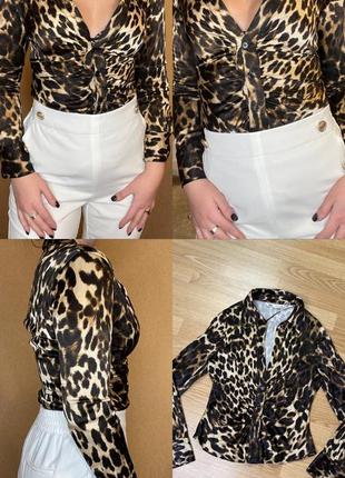 Блуза zara леопардовый принт2 фото