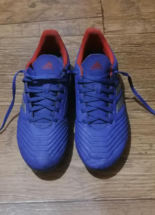 Бутси adidas predator