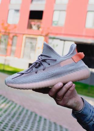 Кросівки adidas yeezy boost 350 true form7 фото