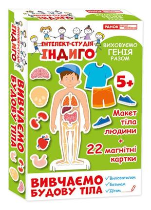 Дитяча розвивальна гра на магнітах. вивчаємо будову тіла 13109081, 22 картки в наборі