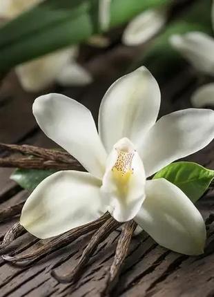 Аромаолія для свічок і мила ванільна орхідея (candlescience vanilla orchid)1 фото