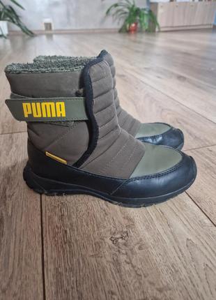 Чобітки puma