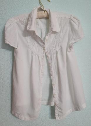 Сорочка блуза 100%котон