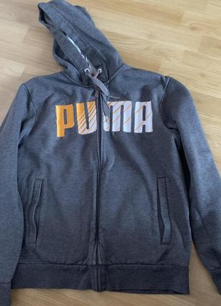 Кофта/худи puma2 фото