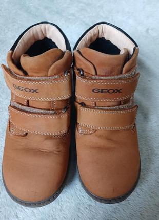 Ботинки geox р274 фото