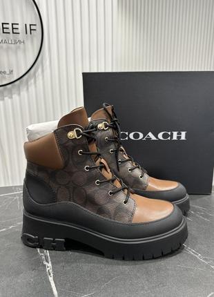 Черевики coach