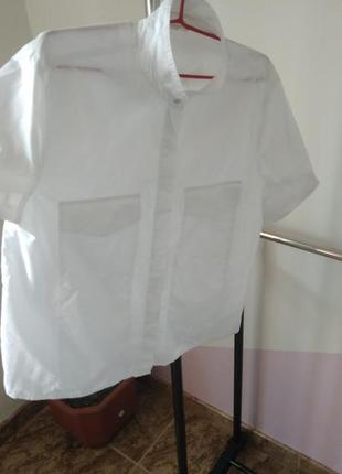 Сорочка укороченая esprit 3