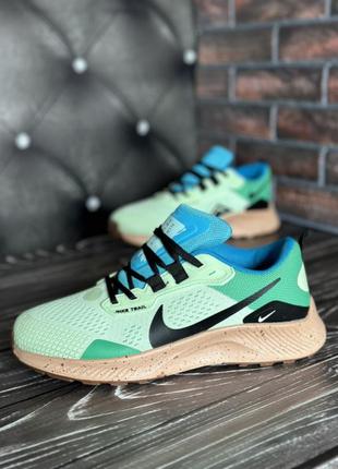 Nike pegasus