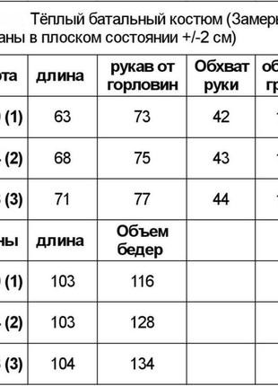 Спортивний костюм жіночий теплий на флісі флісовий весняний зимовий на весну базовий демісезонний чорний сірий зелений ліловий з капюшоном батал10 фото