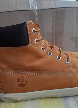 Черевики timberland 6797r3 фото