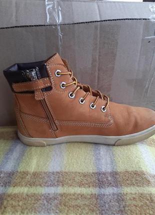 Черевики timberland 6797r6 фото