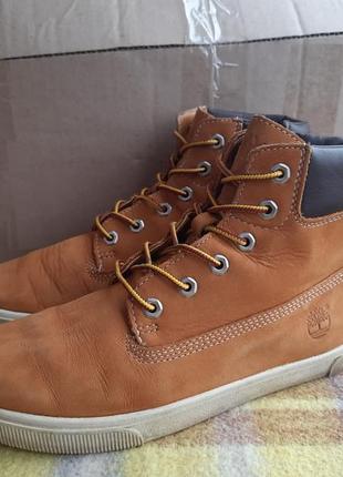 Черевики timberland 6797r