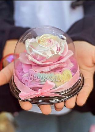 Подарунок вчительці. подарунок вчителю. не дорогий подарунок.