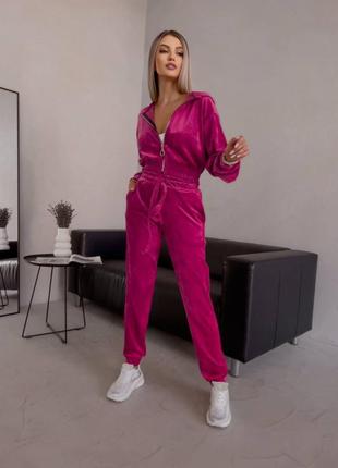 Велюровий жіночій костюм